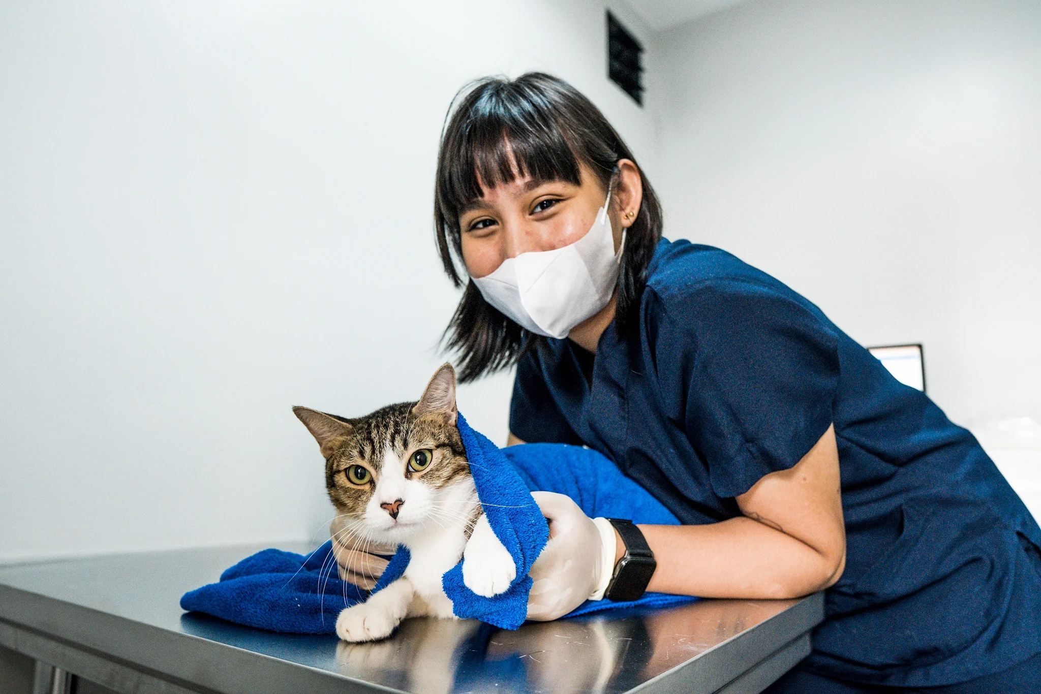 Premium cat Care - Pet Royal Boutique