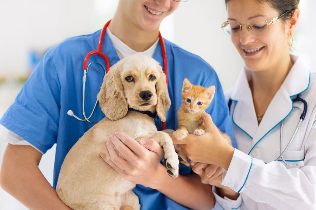 Premium dog Care - Pet Royal Boutique