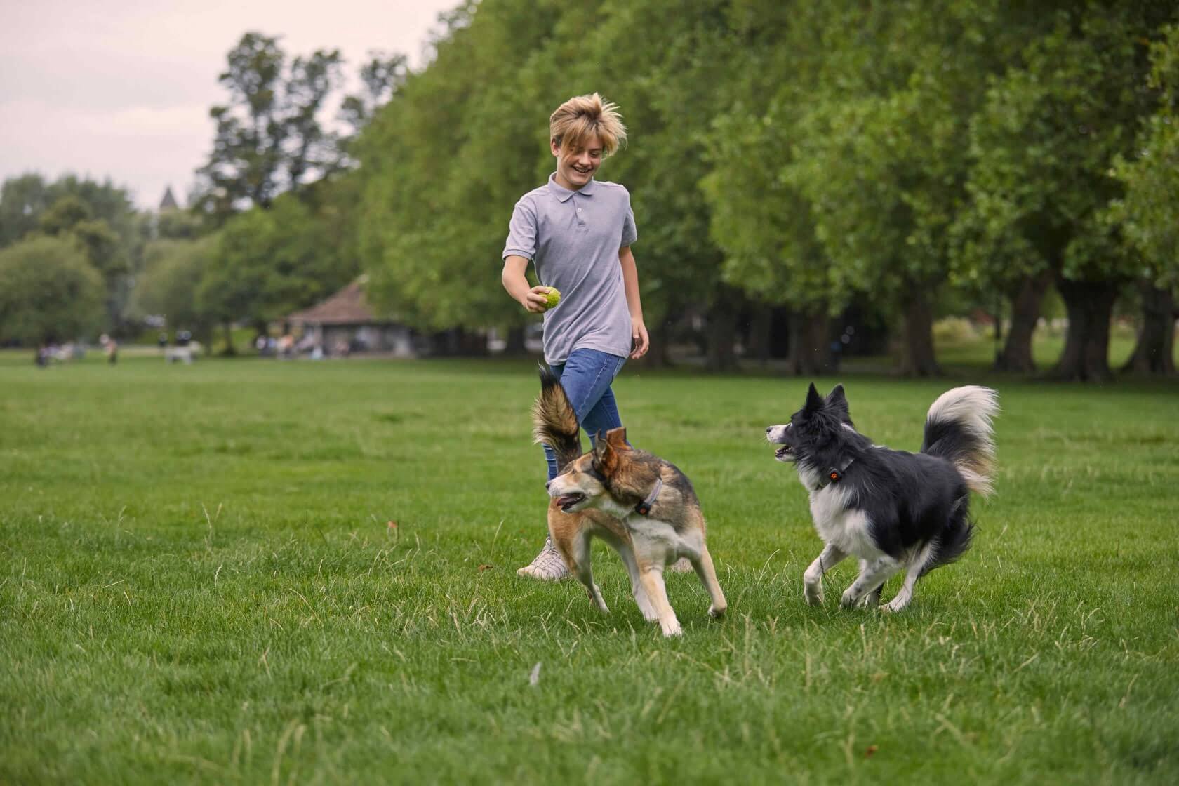 Premium dog Care - Pet Royal Boutique
