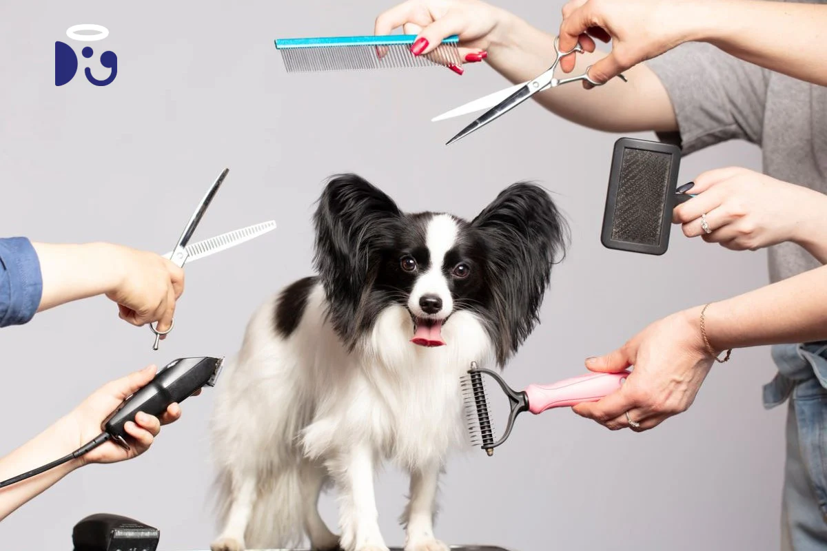 Premium dog Care - Pet Royal Boutique