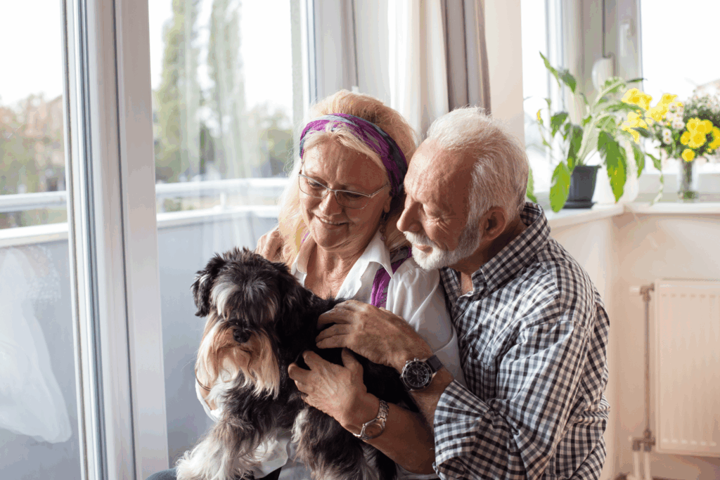 Premium dog Care - Pet Royal Boutique