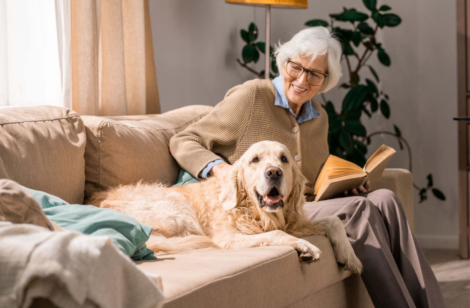 Premium dog Care - Pet Royal Boutique