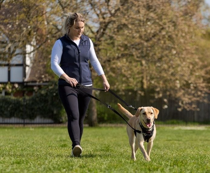 Premium dog Care - Pet Royal Boutique