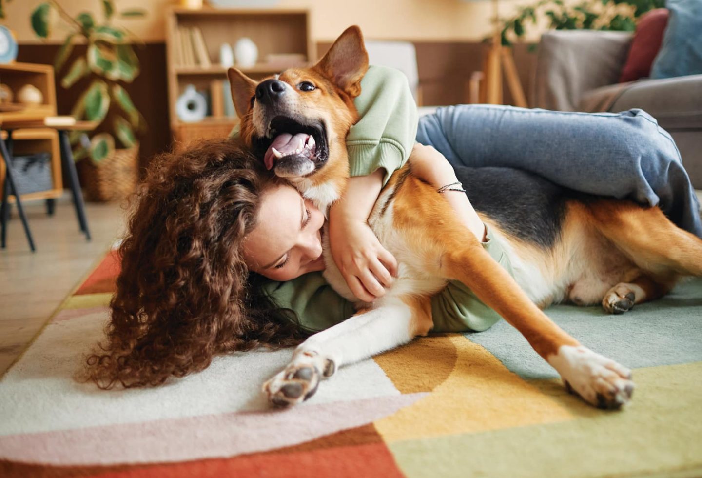 Premium dog Care - Pet Royal Boutique