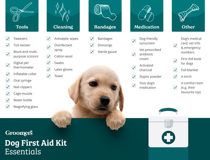 Premium dog Care - Pet Royal Boutique